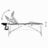 4-Zone Foldable Massage Table Aluminum Black and White - Black