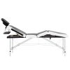 4-Zone Foldable Massage Table Aluminum Black and White - Black