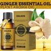 Belly Drainage Ginger Oil Natural Therapy Lymphatic Essential Massage Liquid USA - Transparent - Essential Oil