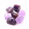 7 Pieces Natural Chakra Tumbled Stone Gemstone Rock Mineral Irregular Crystal Polish Healing Meditation for Feng Shui Decor - Default Title